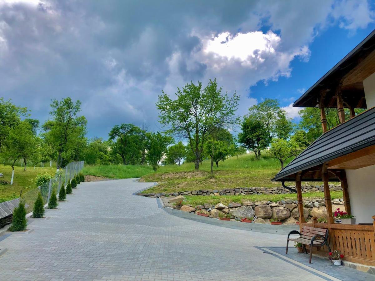 Pensiunea Roca Maramures Desesti Ngoại thất bức ảnh